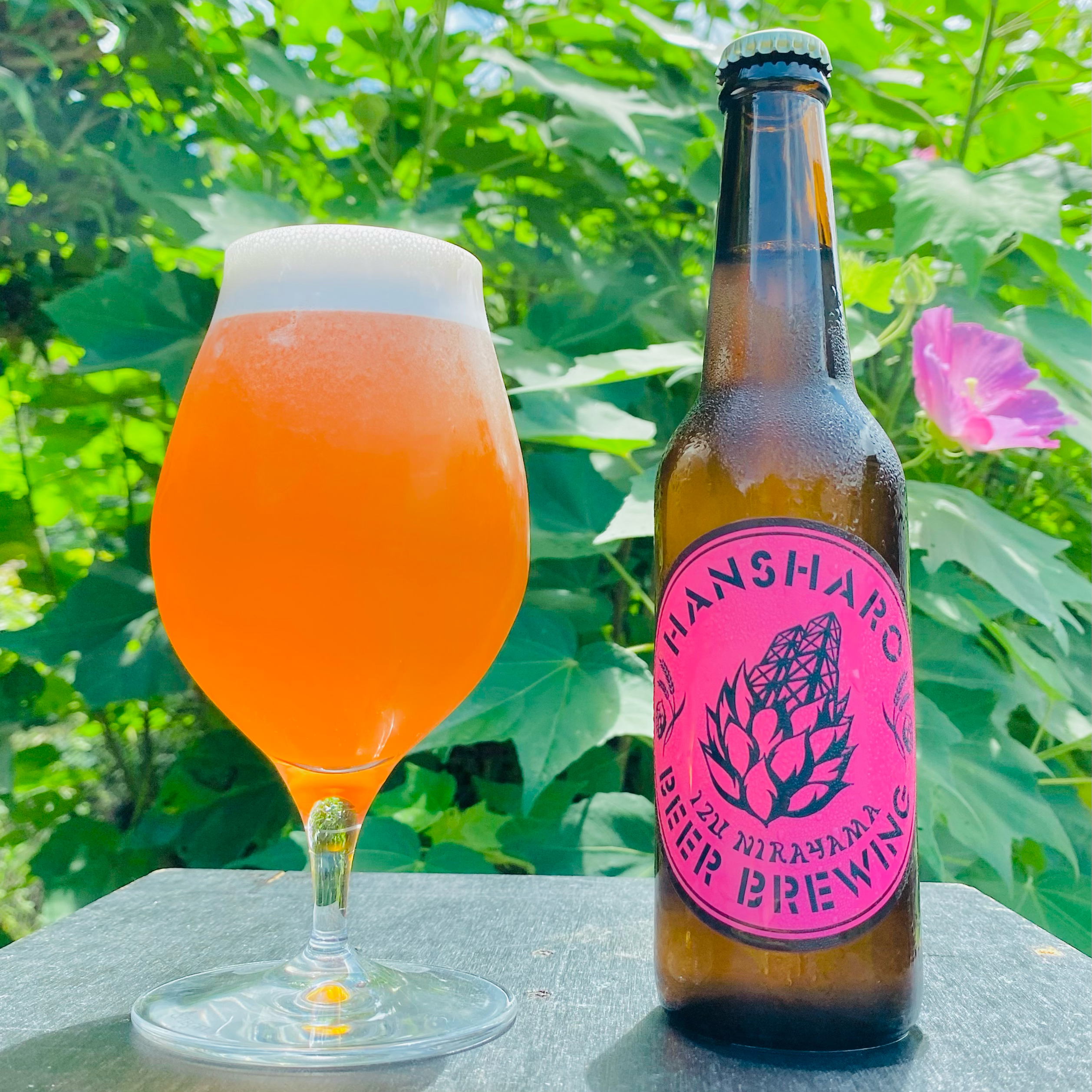 Fairy Raspberry