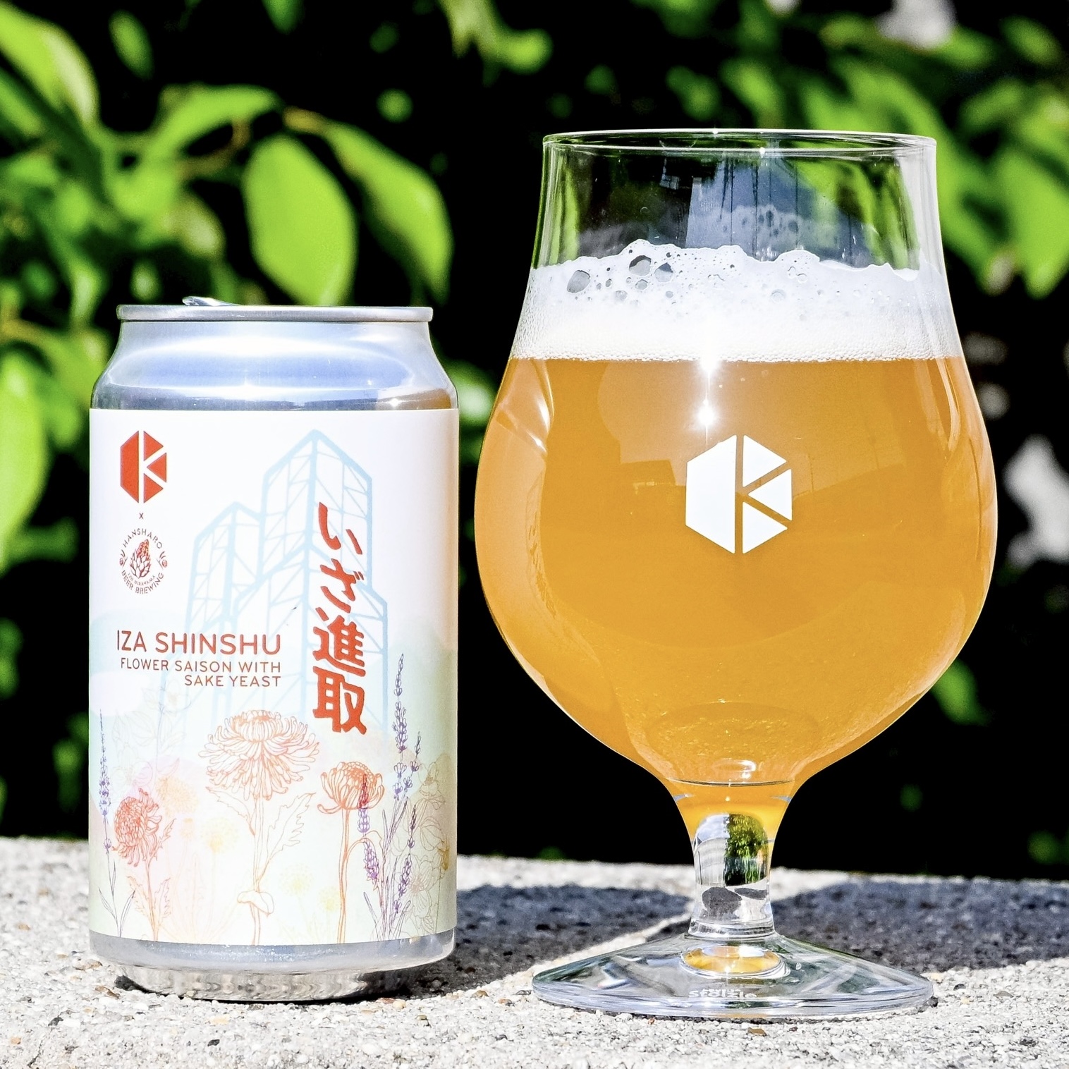 Hijou 400周年記念 500ml 16.5% Honshu-Ichi Muroka Junmai Ginjo Sake 