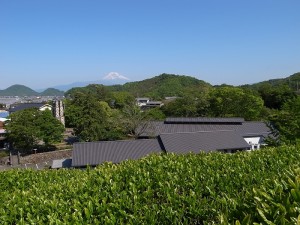 富士山と反射炉と茶畑