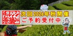 お茶摘み体験